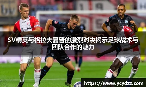 6686体育官网首页