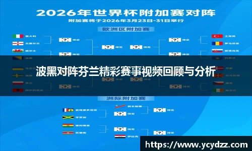 波黑对阵芬兰精彩赛事视频回顾与分析