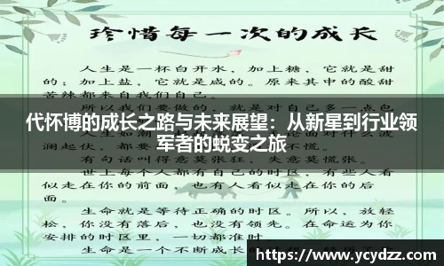 代怀博的成长之路与未来展望：从新星到行业领军者的蜕变之旅